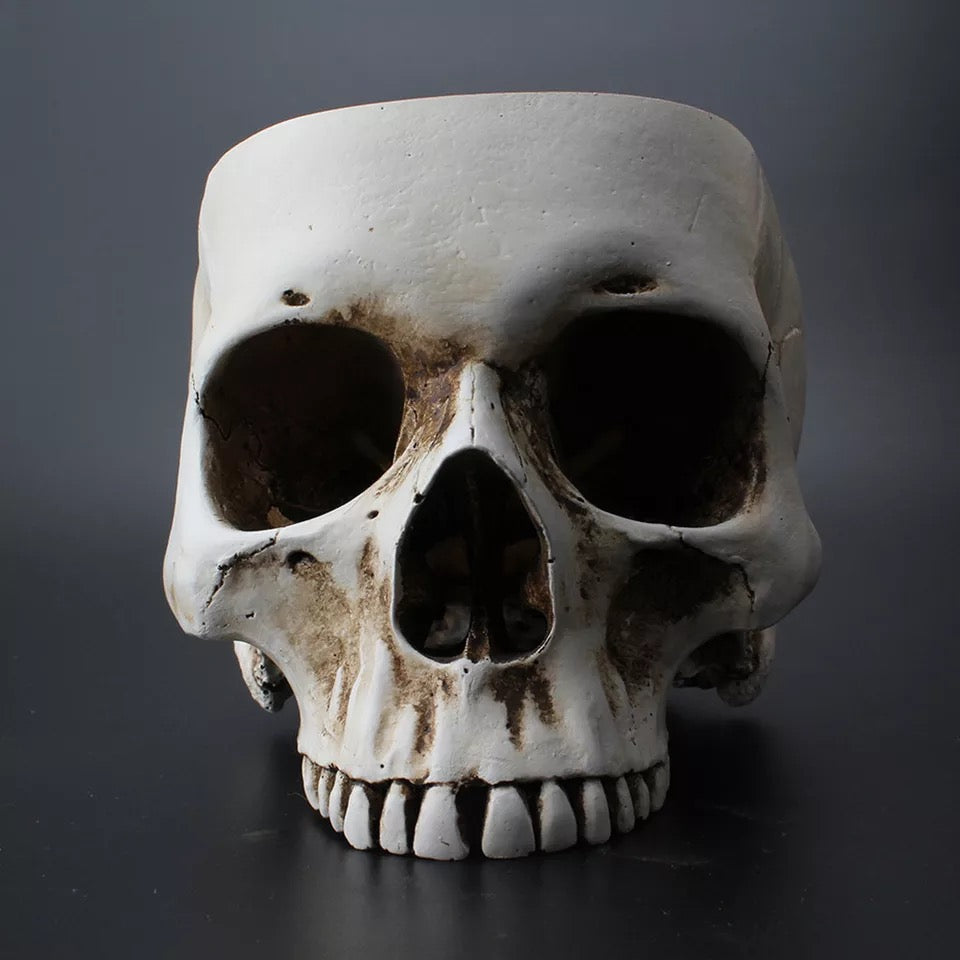 Hollow Skull Head Ashtray