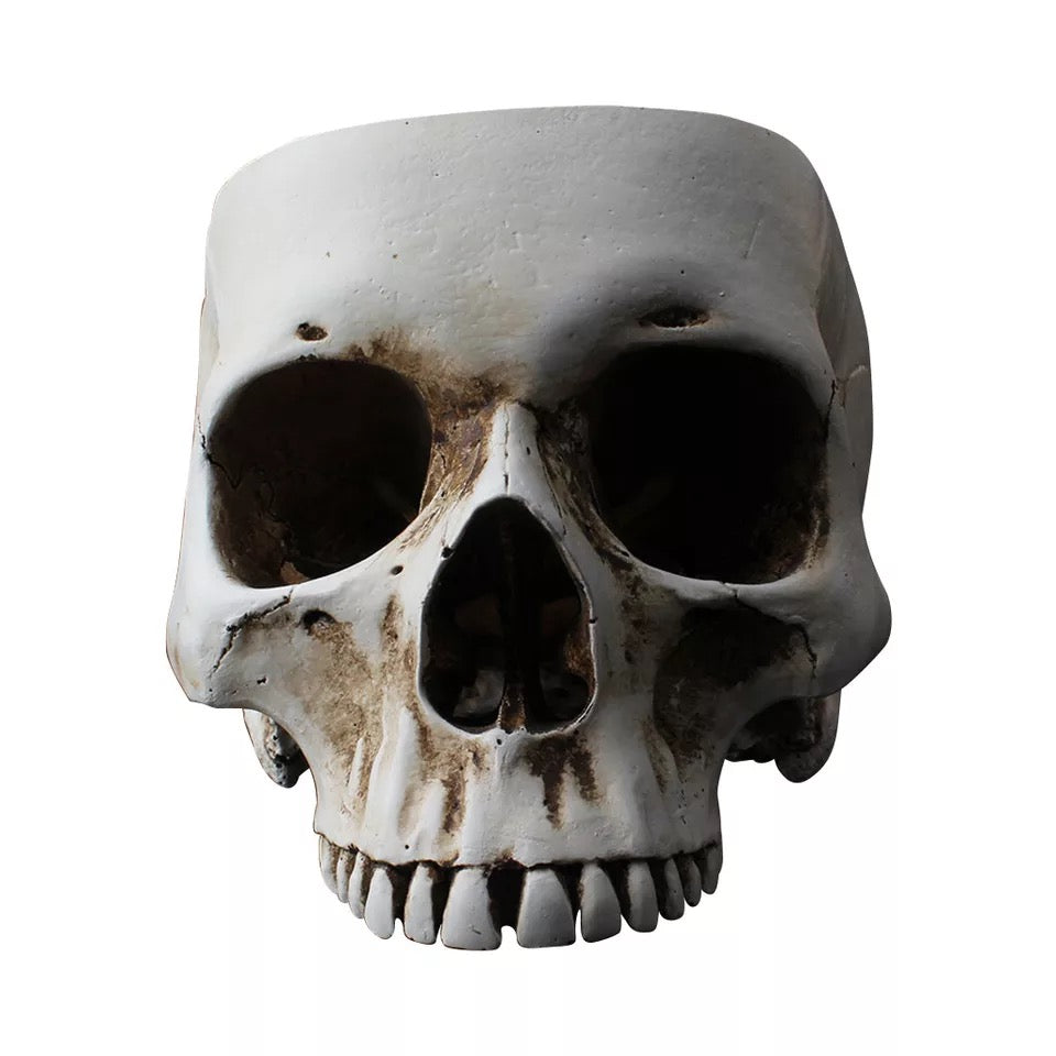 Hollow Skull Head Ashtray